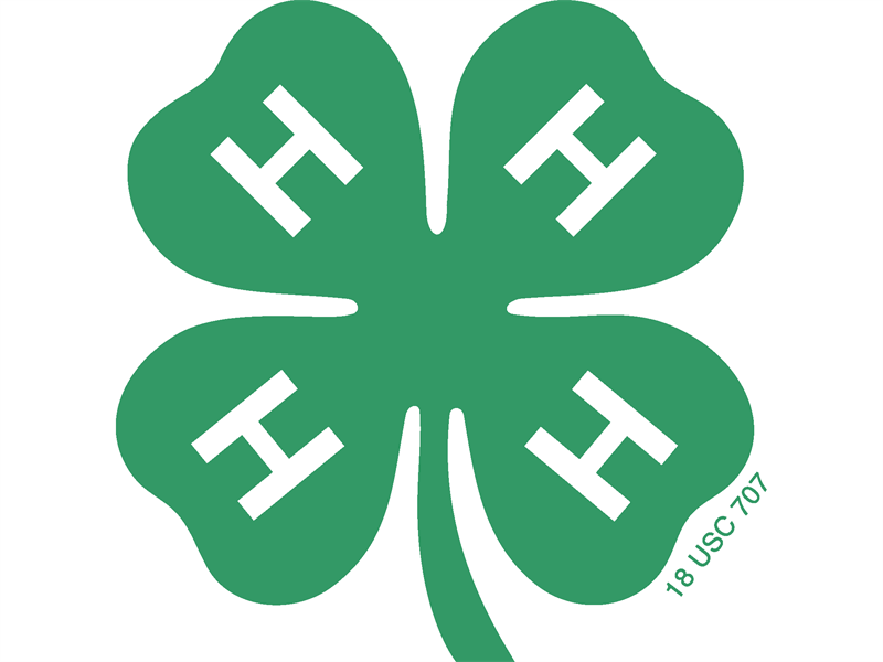 Logo for 2026 District 8 Horse Shows